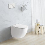 Raul 66 Rimless Wall Hung Toilet Pan Only